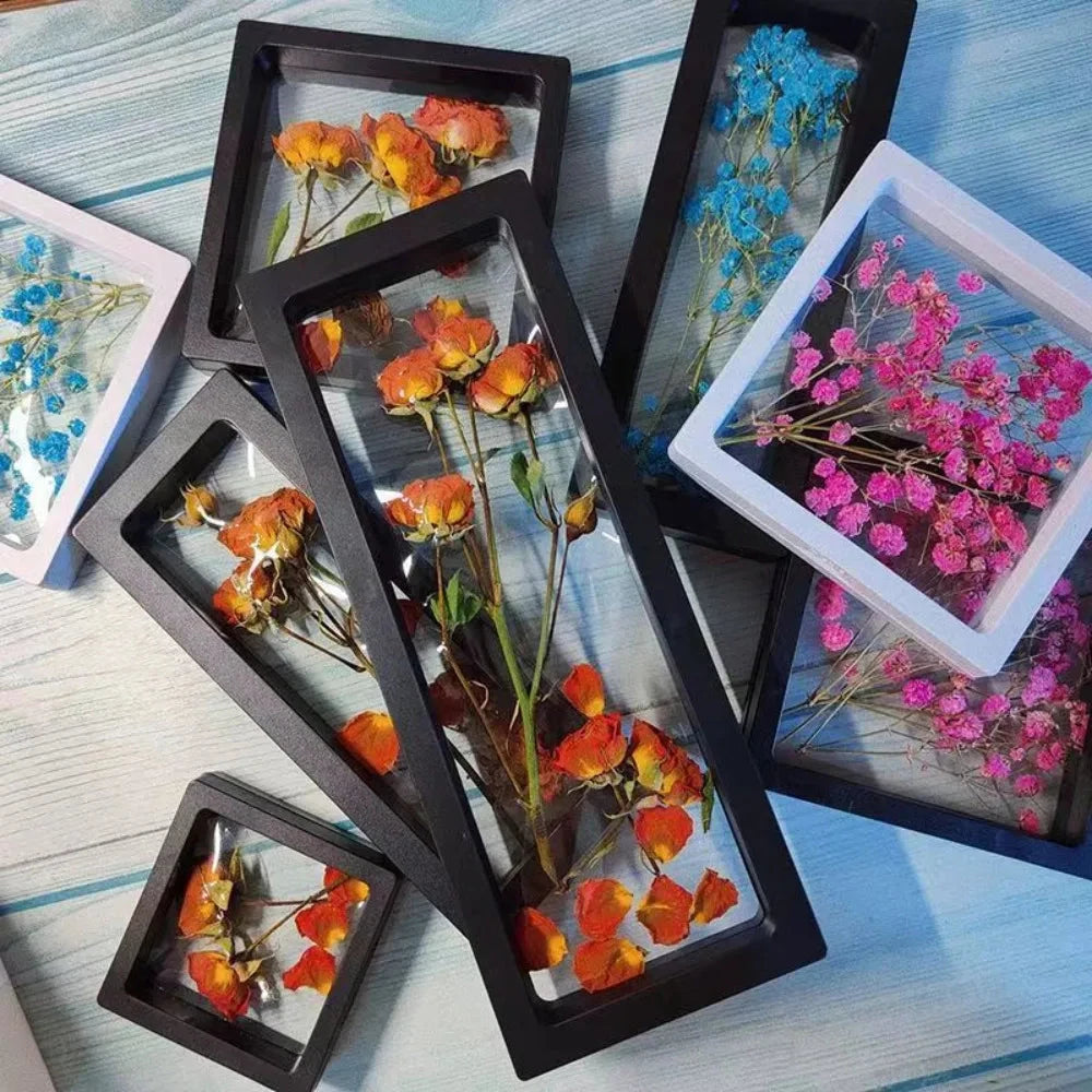 Transparent Dried Flower Display Picture Frame Dried Flower Frame Storage Box Bracelet Jewelry Storage Case Home Decoration TOY WHOSALE Store