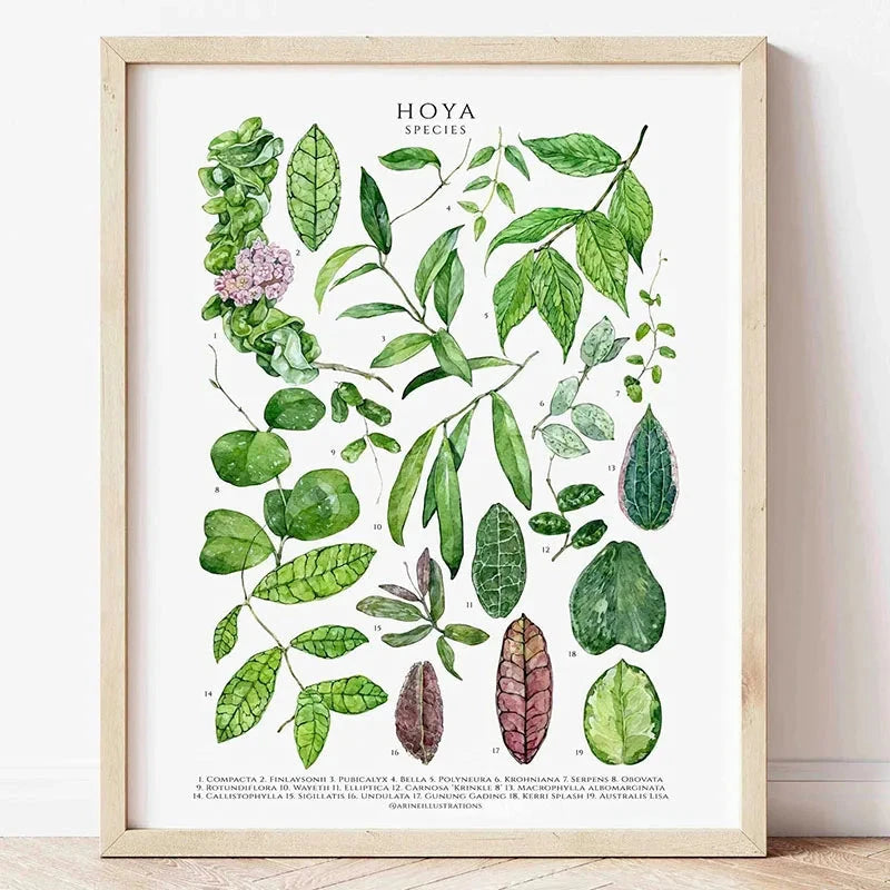 1pc Green Botanical Leaves Interior Art Print Houseplants Nature Indoors Canvas Wall Home Decor Calming Poster Foliage and Plant YOUR COZY HOME Store