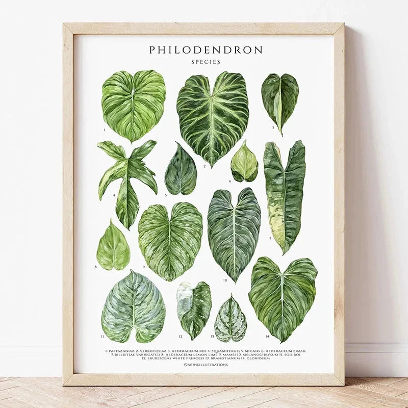 1pc Green Botanical Leaves Interior Art Print Houseplants Nature Indoors Canvas Wall Home Decor Calming Poster Foliage and Plant YOUR COZY HOME Store