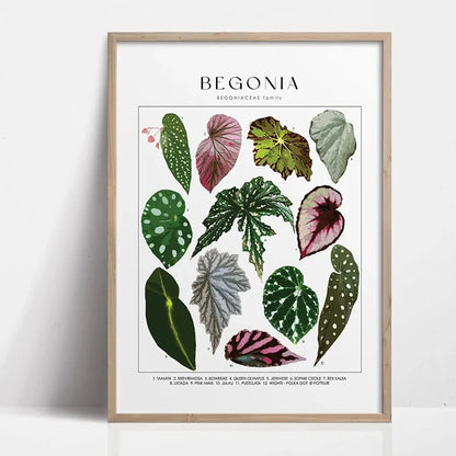 1pc Green Botanical Leaves Interior Art Print Houseplants Nature Indoors Canvas Wall Home Decor Calming Poster Foliage and Plant YOUR COZY HOME Store