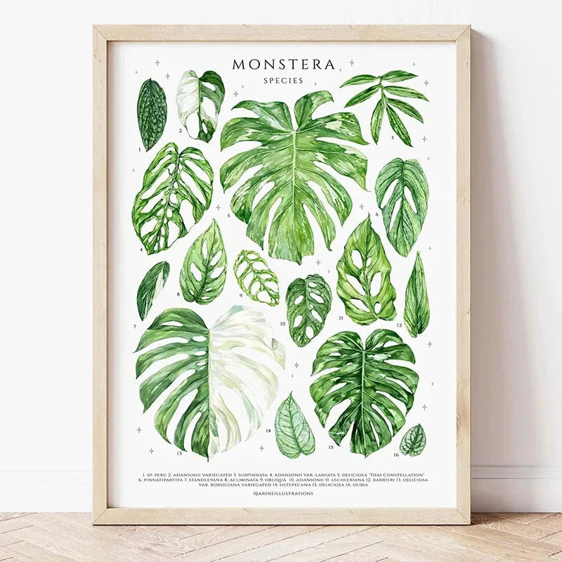 1pc Green Botanical Leaves Interior Art Print Houseplants Nature Indoors Canvas Wall Home Decor Calming Poster Foliage and Plant YOUR COZY HOME Store