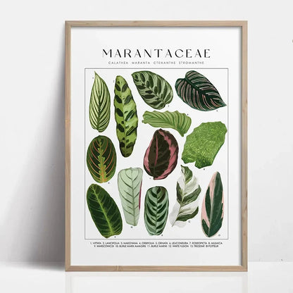1pc Green Botanical Leaves Interior Art Print Houseplants Nature Indoors Canvas Wall Home Decor Calming Poster Foliage and Plant YOUR COZY HOME Store